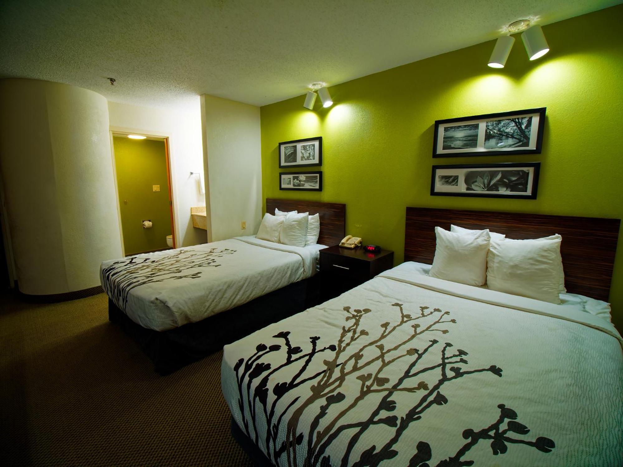 Where to Stay in Pisgah National Forest: 11 Best Family Hotels