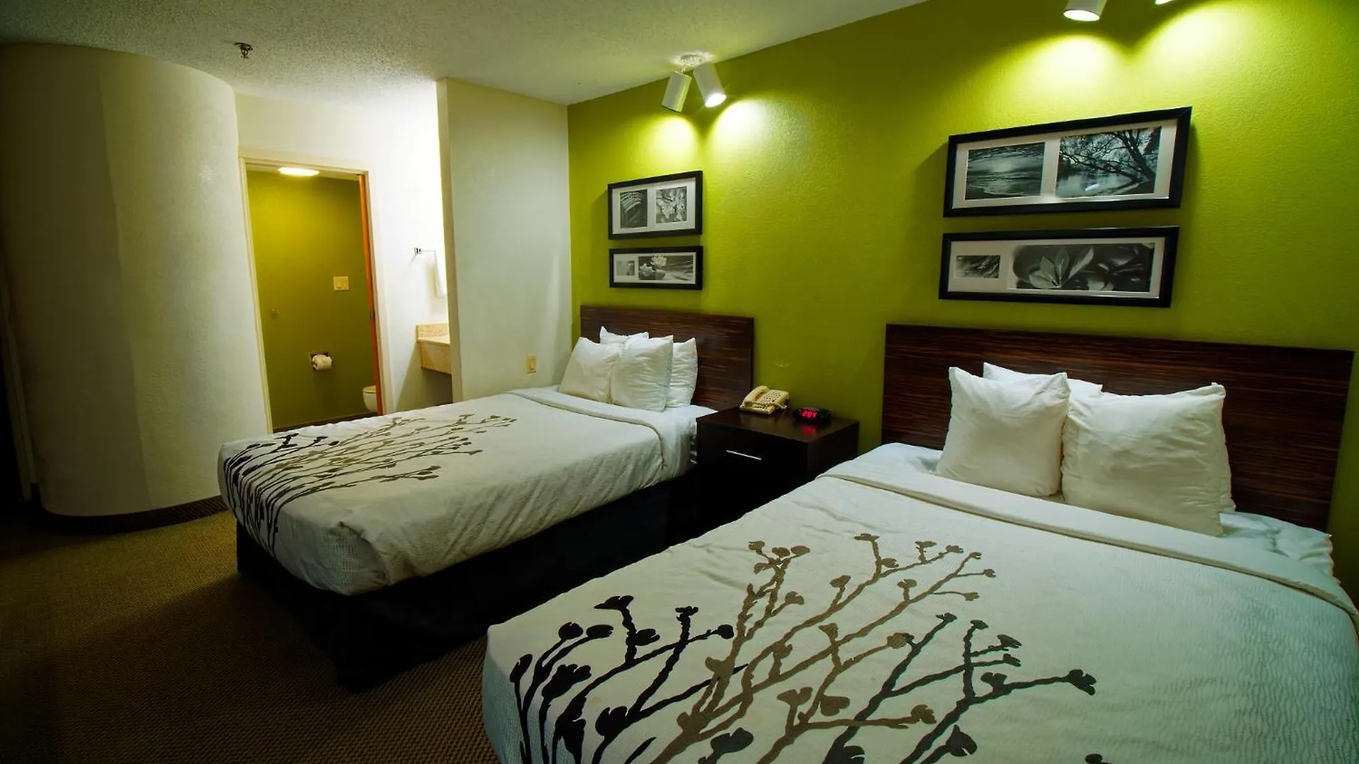 Where to Stay in Pisgah National Forest: 11 Best Family Hotels